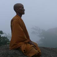 Câu Chuyện Vãng Sanh Của Vị Sư Khi Về Già Mới Tu Tịnh Độ Được Phật Trao Hương Y
