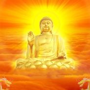 Cụ Bà Ung Thư Tỉnh Táo Niệm Phật Thấy Phật Tiếp Rước Độ Cháu Trai Tin Phật Học Phật