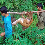 Hai Cha Con Làm Nghề Săn Bắt Thú Chết Bất Đắc Kỳ Tử Bị Nấu Trong Nồi Nước Sôi Nơi Âm Ty