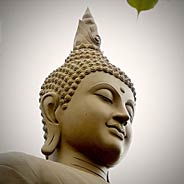 Không Bệnh Ngồi Niệm Phật Vãng Sanh Như Nhập Thiền Định