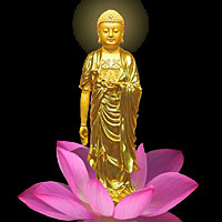 Tín - Nguyện - Hạnh và Cách Thức Niệm Phật