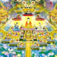 Nữ Phật Tử Ở Hà Nam Niệm Phật Thấy Phật Và Cảnh Cực Lạc Trước Lúc Lâm Chung