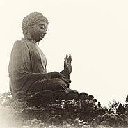 Người Có Thể Niệm Phật Trong Cảnh Khổ Là Người Biết Lấy Thống Khổ Chuyển Thành Hoa Sen Rực Rỡ