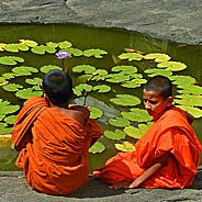 Hai Chú Sa Di Đồng Vãng Sanh Một Ngày