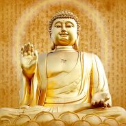 Một Vị Sư Vãng Sanh Thượng Phẩm Lúc Trà Tỳ Trên Đảnh Và Hai Tay Hiện Ra Hóa Phật