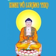 Nếu Mỗi Ngày Đều Nghe Giảng Kinh Vô Lượng Thọ Sau 10 Năm Có Thể Giảng Được Kinh Này