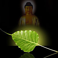 Niệm Phật Hiểu Theo 37 Phẩm Trợ Đạo