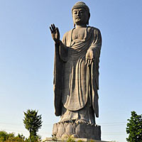 Phật A Di Đà Mở Rộng Vòng Tay Cứu Độ Tôi