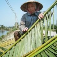 Phật Tử Tại Gia Phải Nên Làm Ăn Nuôi Sống Trợ Đạo